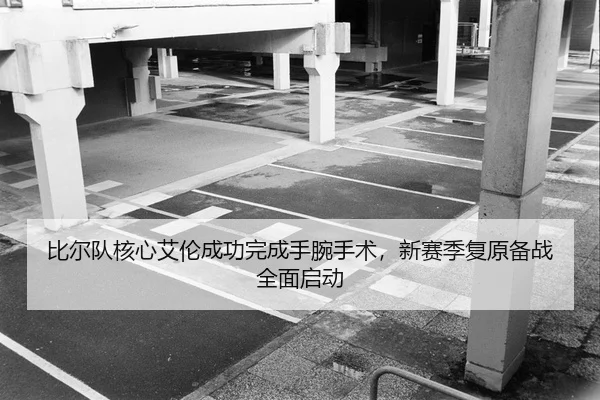 bi-er-dui-he-xin-ai-lun-cheng-gong-wan-cheng-shou-wan-shou-shu-xin-sai-ji-fu-yuan-bei-zhan-quan-mian-qi-dong-2-446.jpg