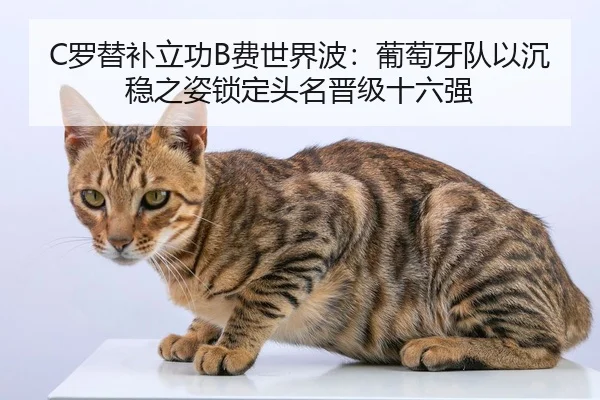 luo-ti-bu-li-gong-fei-shi-jie-bo-pu-tao-ya-dui-yi-chen-wen-zhi-zi-suo-ding-tou-ming-jin-ji-shi-liu-qiang-2-987.jpg